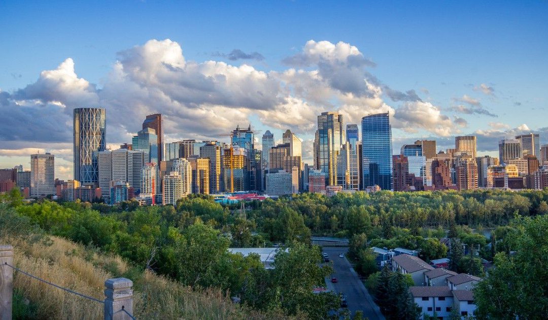 RECA bans Drinkwater for life over Ponzi scheme