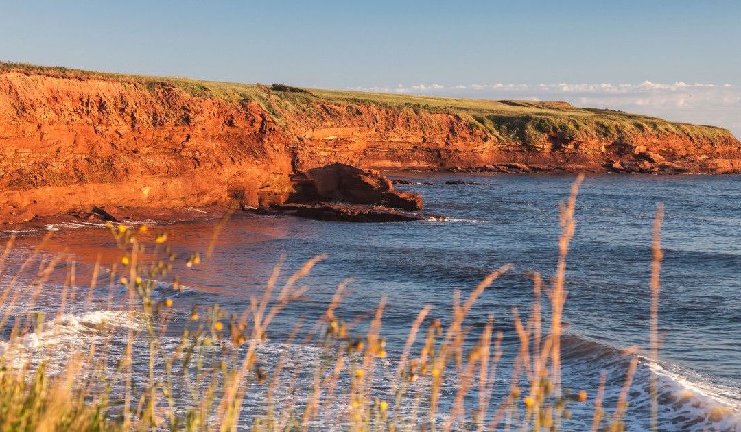 P.E.I. powerhouse Peggy Donovan steering big change in Canada’s smallest province