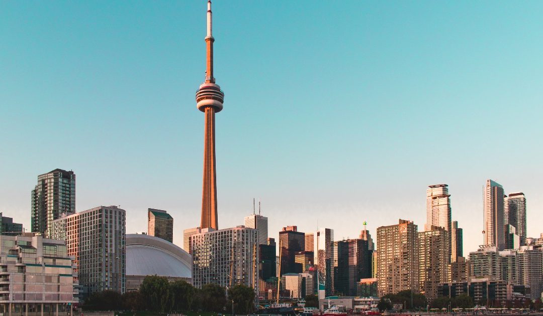 This is where the iPro trust money went, according to RECO evidence