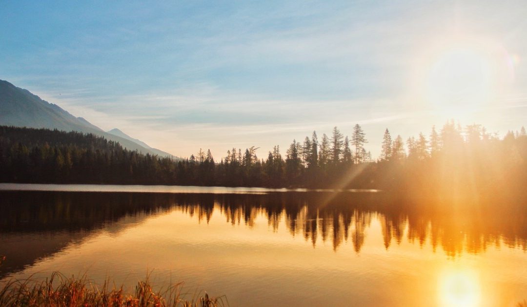 The market wakes, but refuses to run: Foch